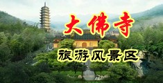 少妇的馒头逼中国浙江-新昌大佛寺旅游风景区